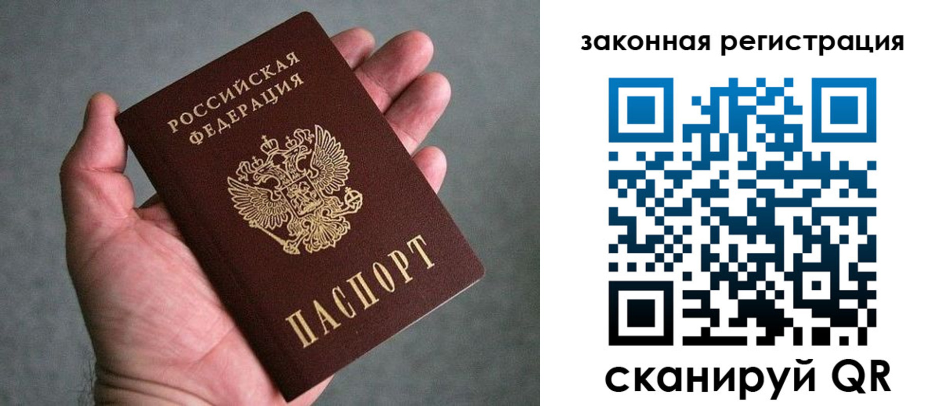 купить прописку в Павловске